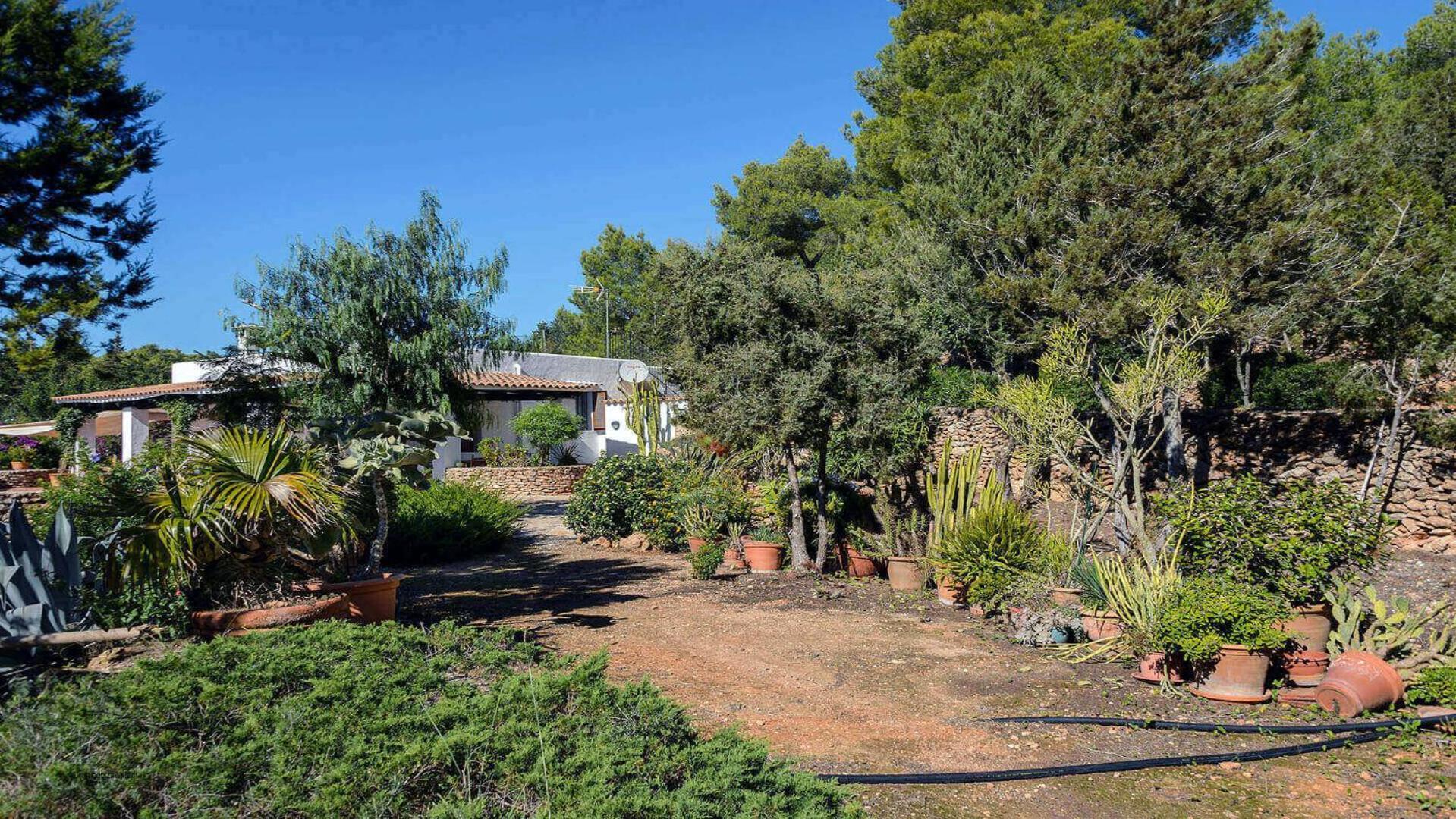 Villa New! Guillem Patri